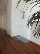pafu005004.jpg