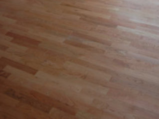pafu007005.jpg